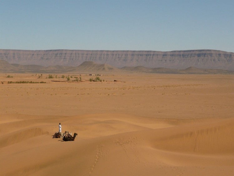 Wallpapers Trips : Africa Morocco dunes