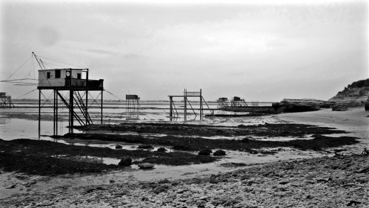 Fonds d'cran Nature Mers - Ocans - Plages charentes