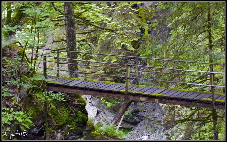 Fonds d'cran Nature Arbres - Forts Un pont