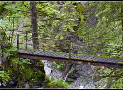 Fonds d'cran Nature Un pont