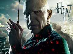 Fonds d'cran Cinma Harry Potter et les Reliques de la Mort