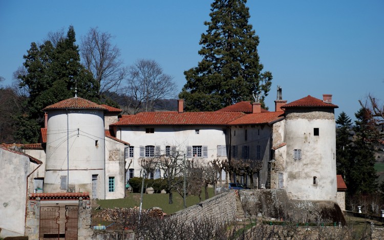 Fonds d'cran Constructions et architecture Chteaux - Palais Chateau de la Pierre ,Chazelle sur lavieux ,Loire 42