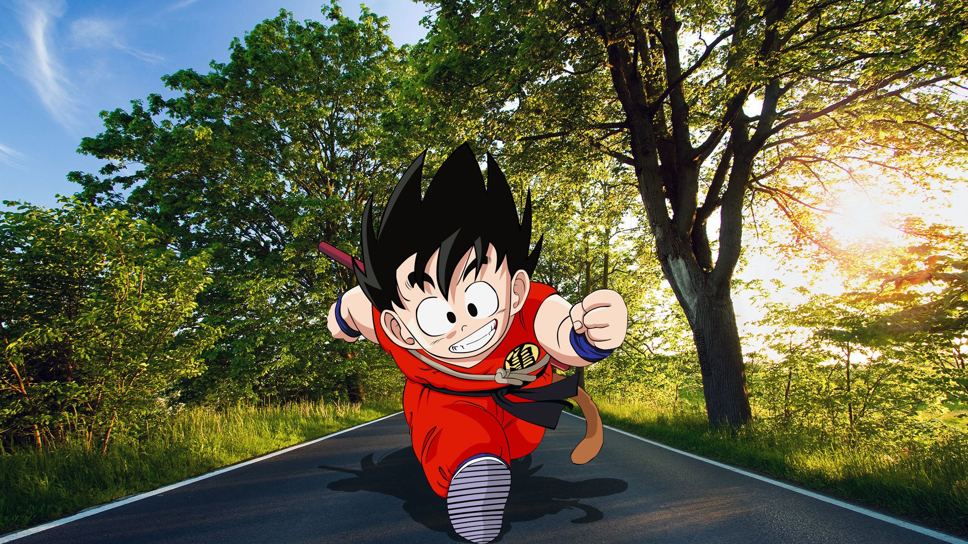 Fonds d'cran Manga Dragon Ball Z goku on road