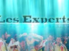 Wallpapers Sports - Leisures Les experts handball