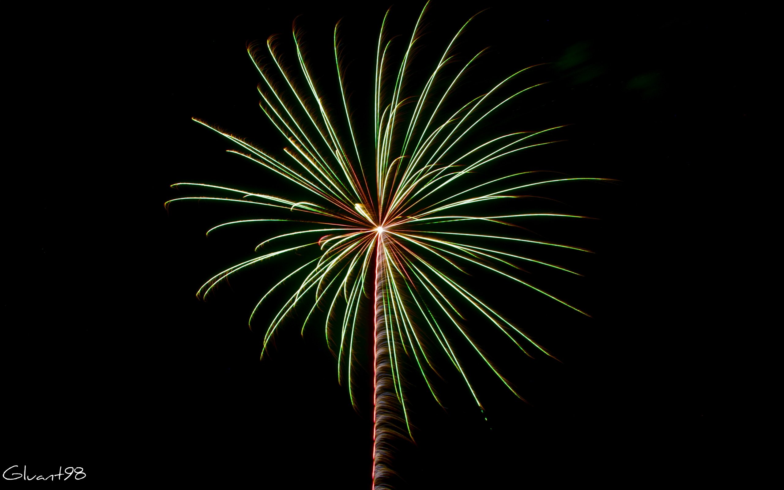 Fonds d'cran Hommes - Evnements Feux d'Artifice Palmier exstraterrestre ?