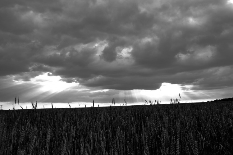 Wallpapers Nature Skies - Clouds 