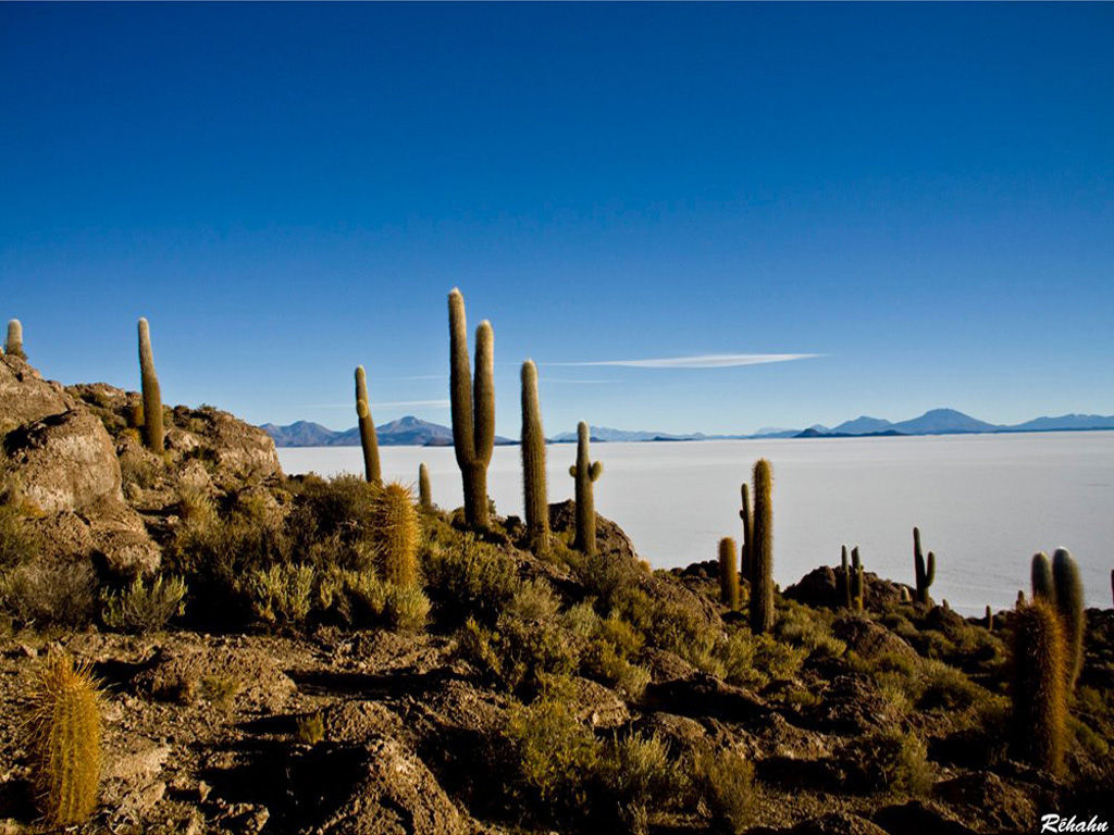 Wallpapers Trips : South America Bolivia Salar d'Uyuni, Isla del Pescado