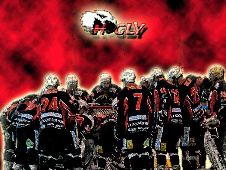 Wallpapers Sports - Leisures Hockey hogly