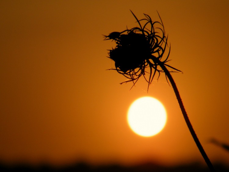 Wallpapers Nature Sunsets and sunrises coucher de soleil en corse