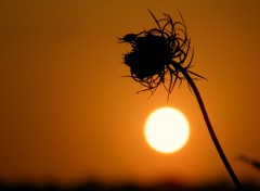 Wallpapers Nature coucher de soleil en corse