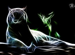 Wallpapers Digital Art Tigre spectral.