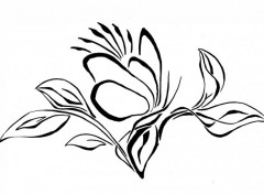 Wallpapers Art - Pencil fleur papillon