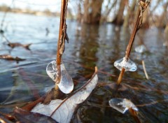 Fonds d'cran Nature goutte gele