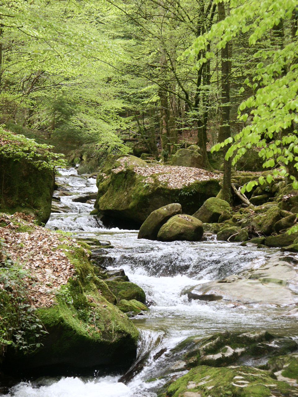 Fonds d'cran Nature Fleuves - Rivières - Torrents 