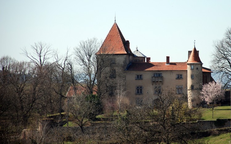 Fonds d'cran Constructions et architecture Chteaux - Palais chateau de Vassalieux , Loire 42