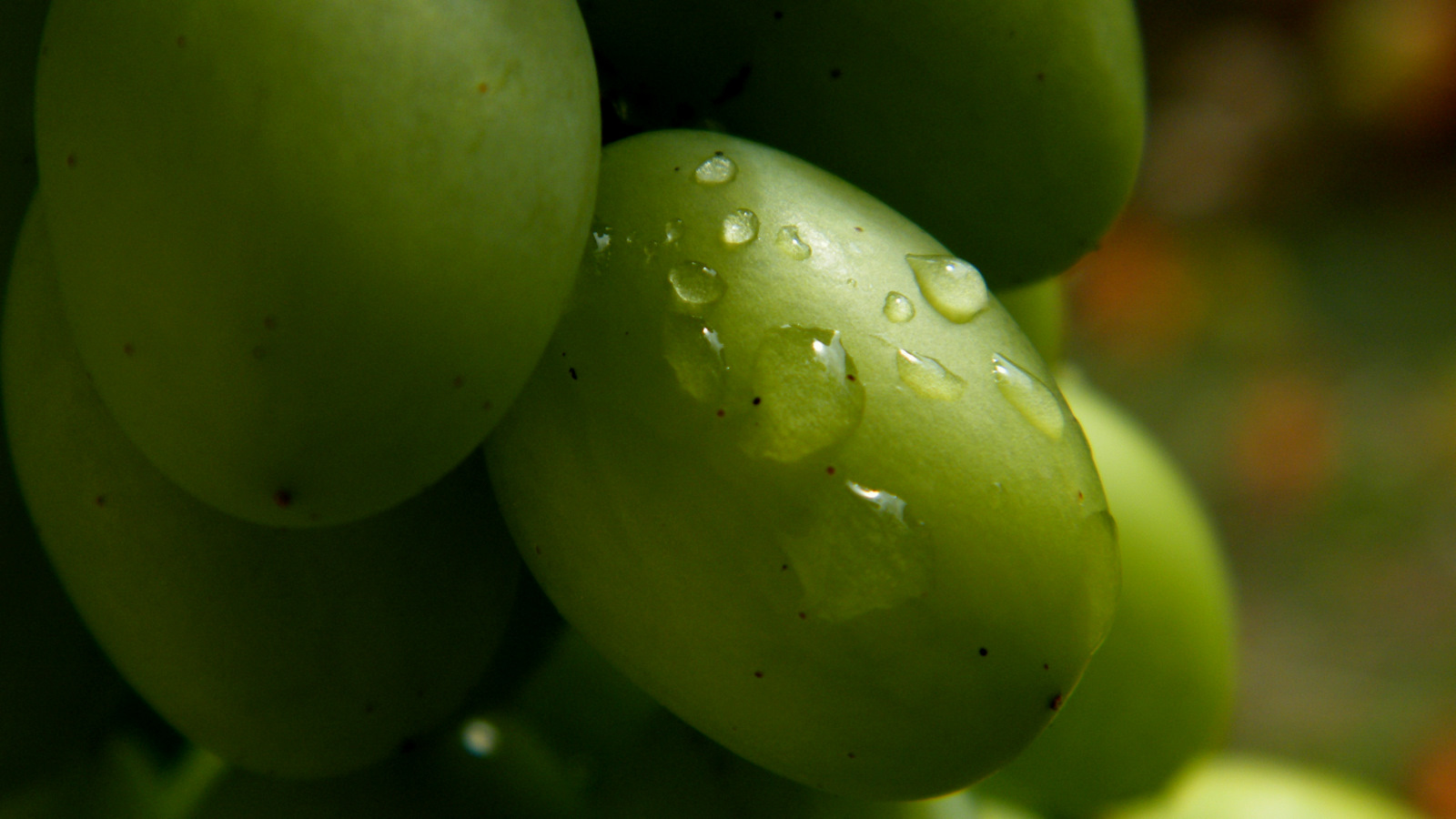 Wallpapers Nature Fruits pluie d't