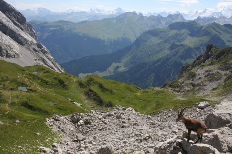 Wallpapers Nature Mountains Col de la Colombiere