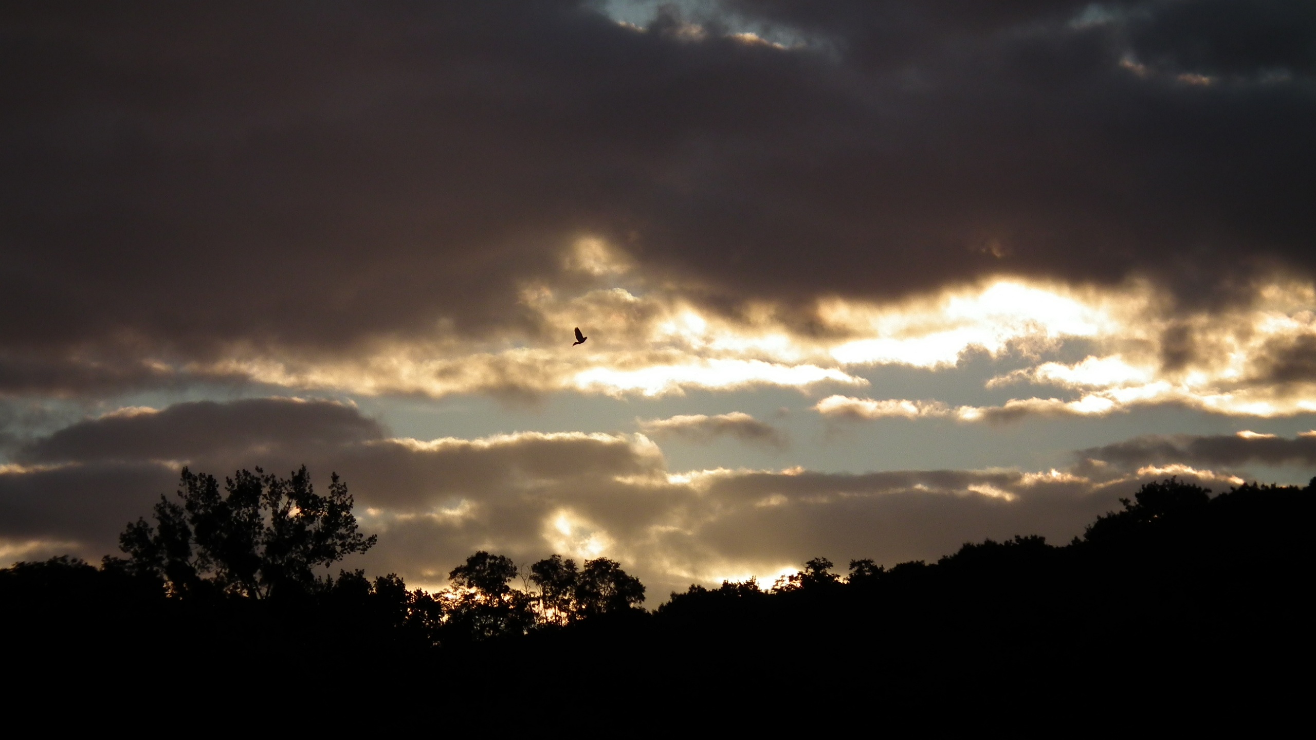 Fonds d'cran Nature Ciel - Nuages 