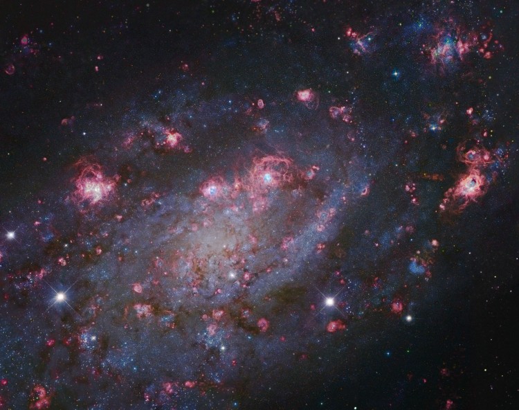 Fonds d'cran Espace Etoiles - Nbuleuses NGC 2403