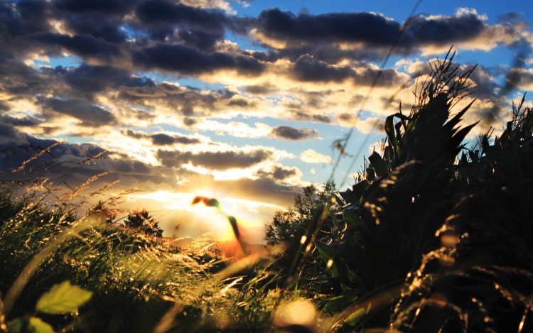 Fonds d'cran Nature Couchers et levers de Soleil Ciel et terre