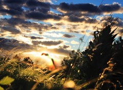 Fonds d'cran Nature Ciel et terre