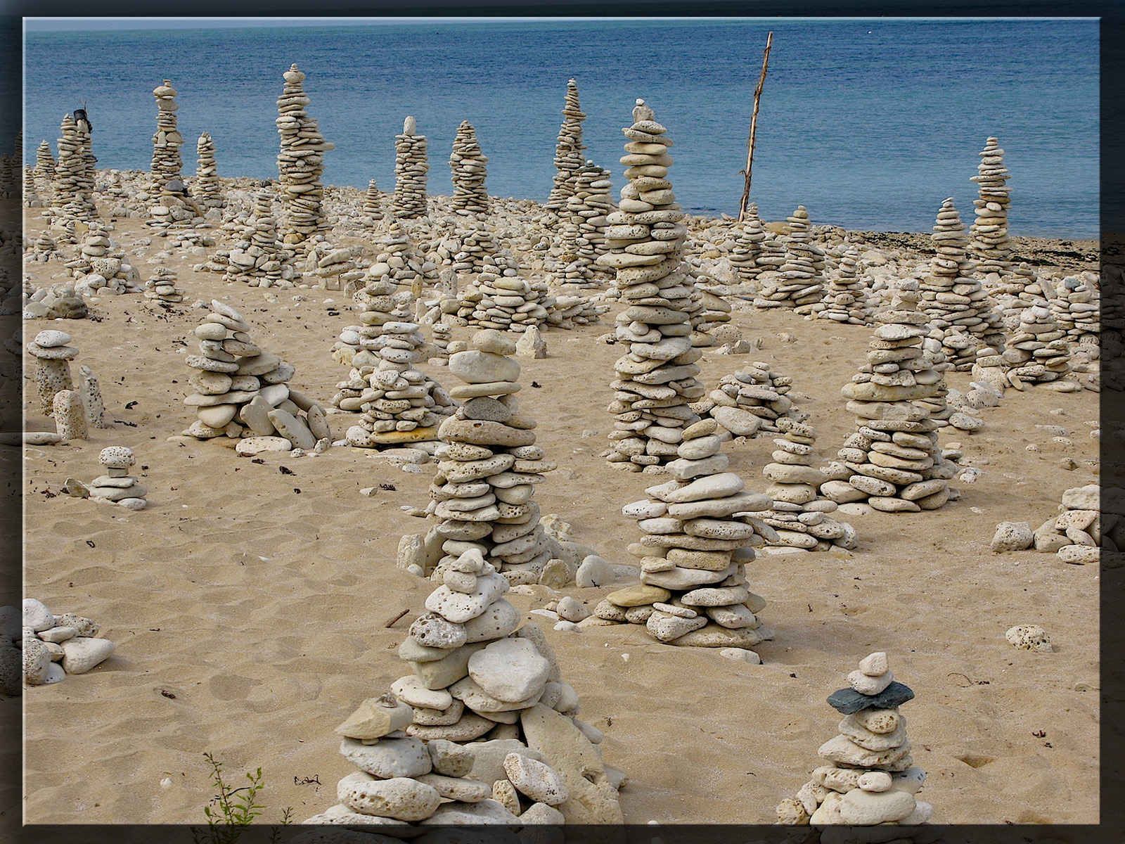 Fonds d'cran Nature Mers - Ocans - Plages Ile de R : galets au phare des baleines .