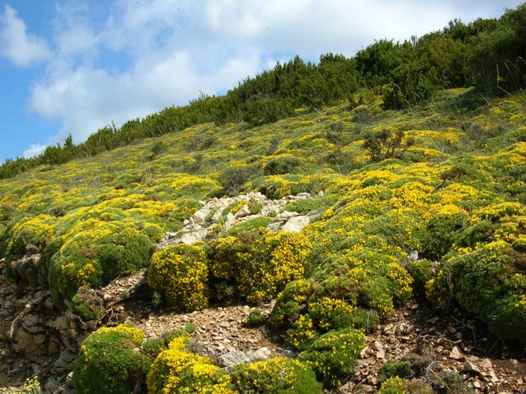 Fonds d'cran Nature Paysages Paysage