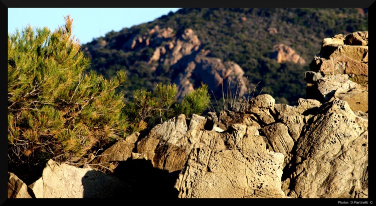 Wallpapers Nature Rocks - Stones - Sand Herbe Roche