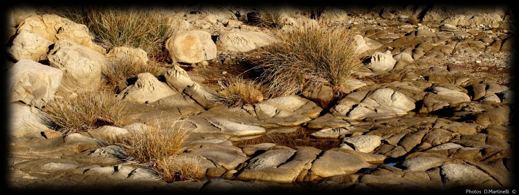 Fonds d'cran Nature Roches - Pierres - Sables Herbe