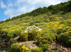 Fonds d'cran Nature Paysage