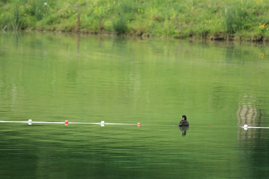 Fonds d'cran Nature Lacs - Etangs 