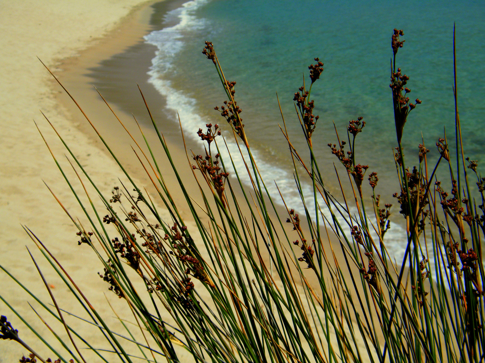 Wallpapers Nature Seas - Oceans - Beaches sur la plage abandonne