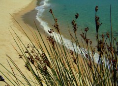 Wallpapers Nature sur la plage abandonne