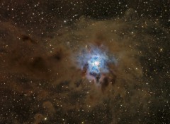 Fonds d'cran Espace NGC 7023