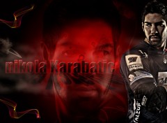 Wallpapers Sports - Leisures Nikola KARABATIC