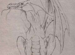 Wallpapers Art - Pencil dragon esquisse