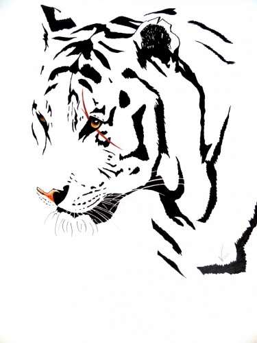 Fonds d'cran Art - Crayon Animaux - Tigres white tiger