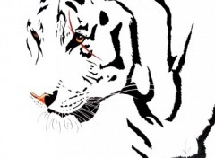 Wallpapers Art - Pencil white tiger