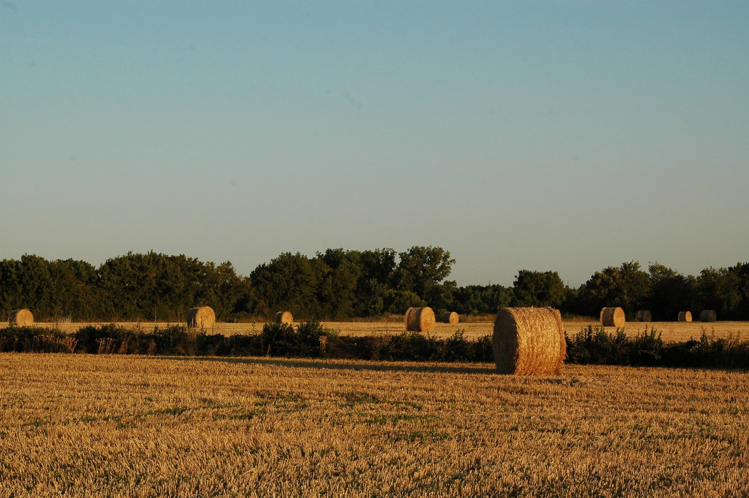 Fonds d'cran Nature Campagne Campagne