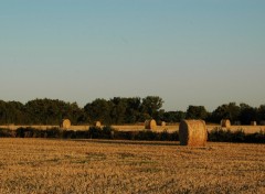 Fonds d'cran Nature Campagne