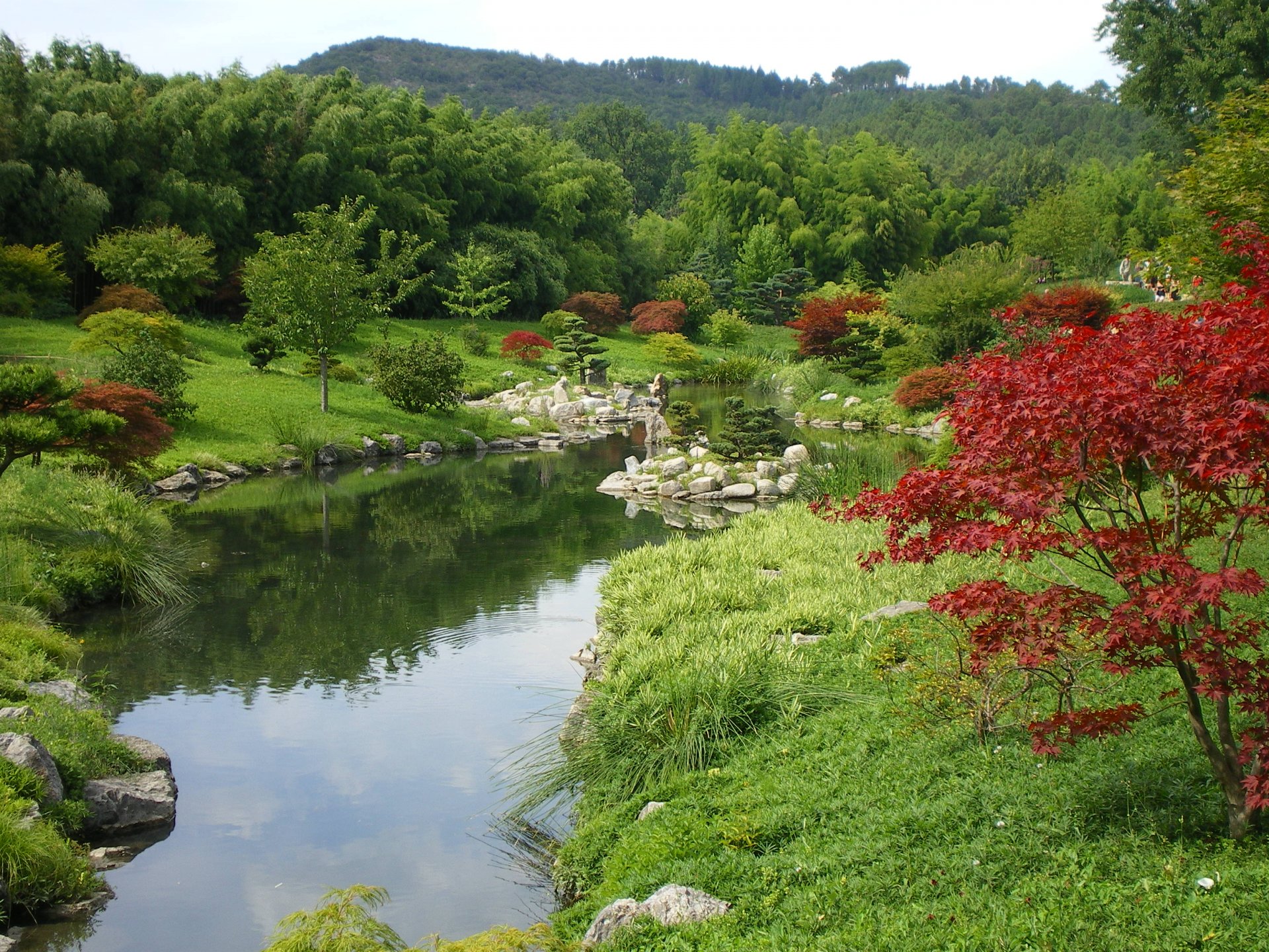 Fonds d'cran Nature Parcs - Jardins La Bambouseraie d'Anduze