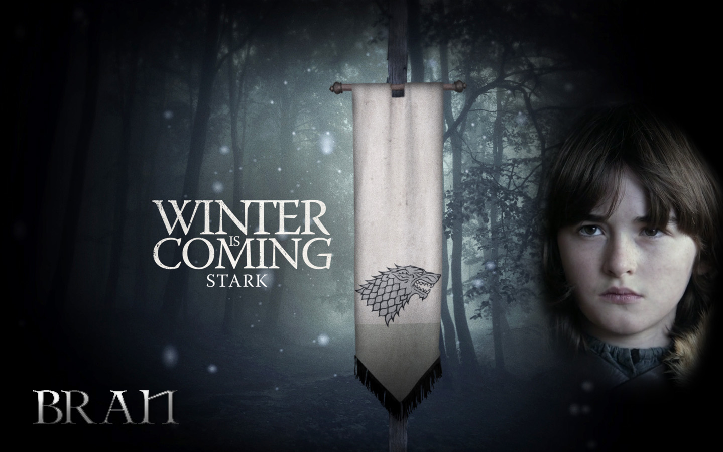 Fonds d'cran Sries TV Le Trne de Fer : Game Of Thrones Bran Stark