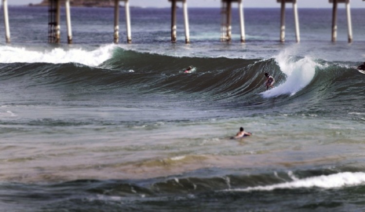 Fonds d'cran Voyages : Amrique du nord Etats-Unis surf