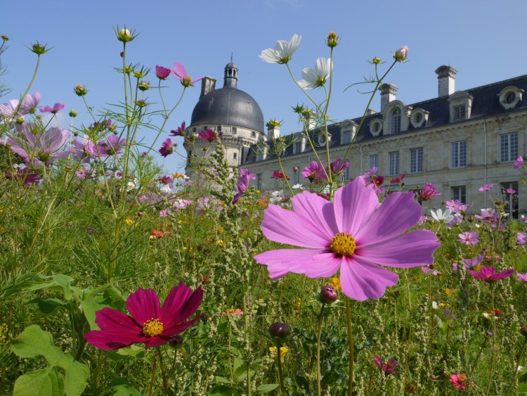 Fonds d'cran Constructions et architecture Chteaux - Palais valenay