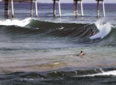 Fonds d'cran Voyages : Amrique du nord surf