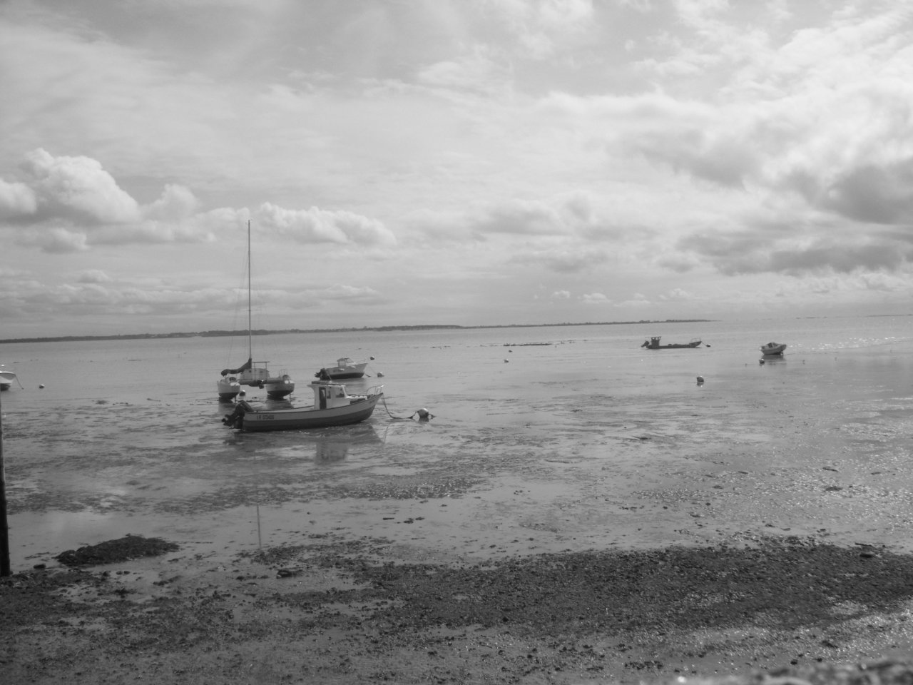 Fonds d'cran Nature Mers - Ocans - Plages Alors la pche est bonne ? Non ? Manger une pomme ! 