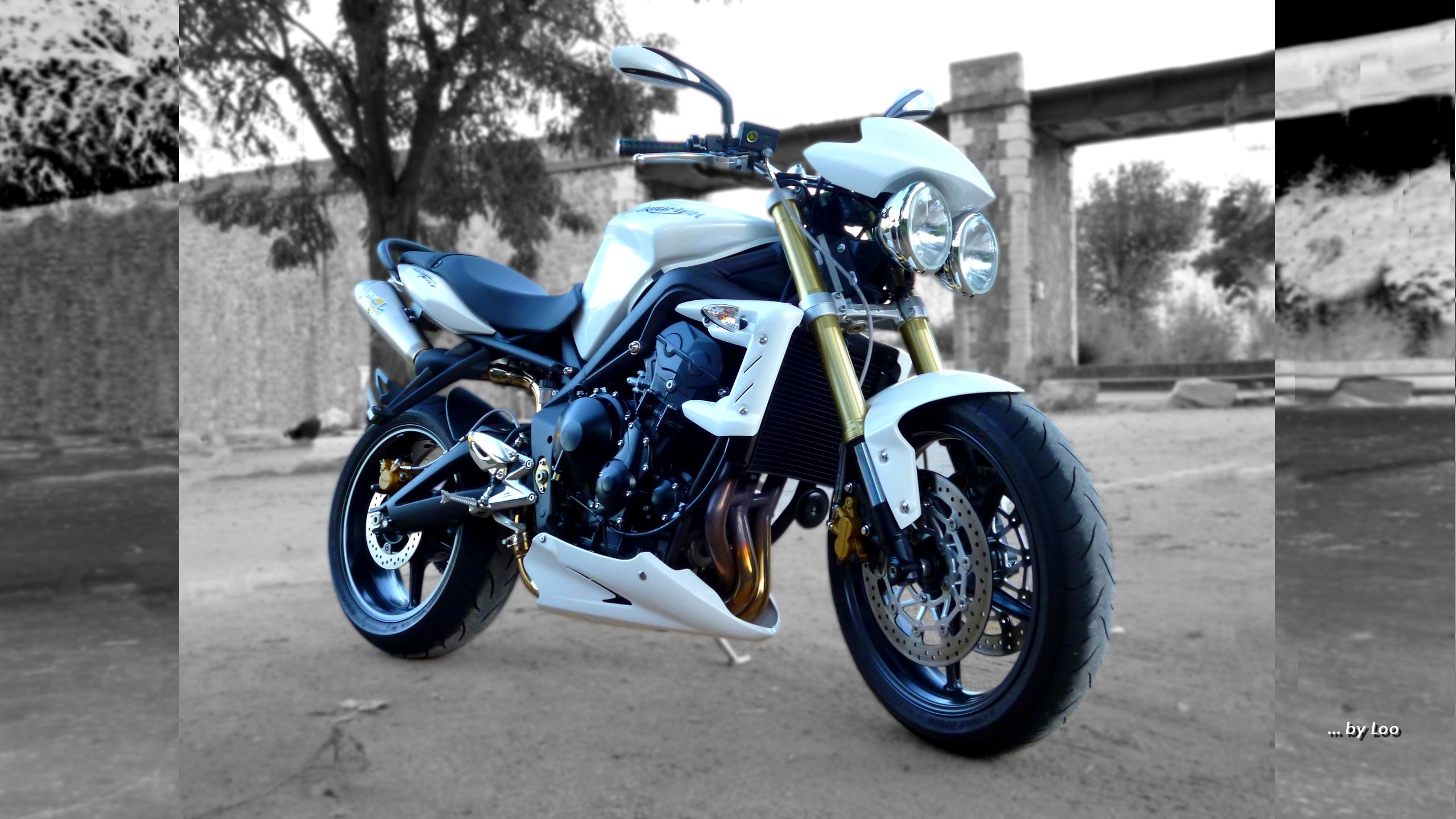 Wallpapers Motorbikes Triumph Street Triple