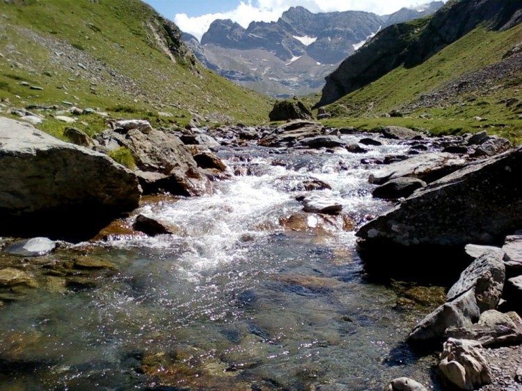 Fonds d'cran Nature Fleuves - Rivires - Torrents L'Adour