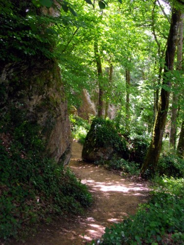 Wallpapers Nature Trees - Forests sentier forestier