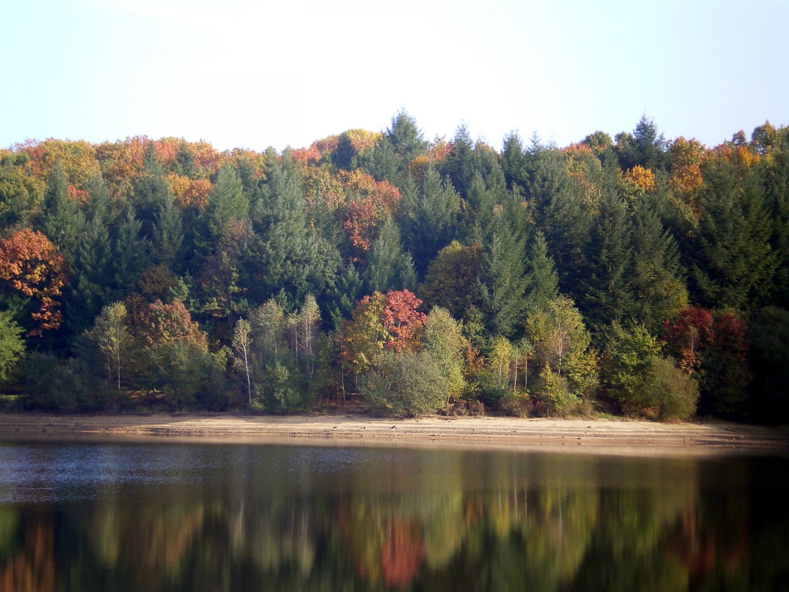 Wallpapers Nature Trees - Forests couleurs d'automne